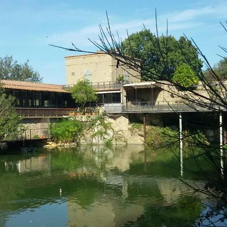 La Remessuola La Torre Sul Lago Bed & Breakfast La Villa  Exterior photo